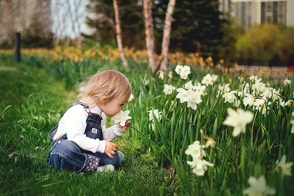 Garten für Kinder gestalten. Tetyana Kovyrina / Pexels.com