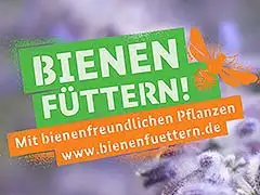 IVG unterstützt die Initiative Bienen füttern!