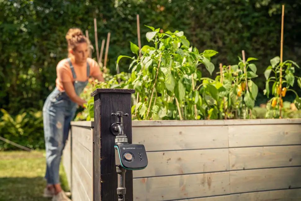 Besonders effizient ist eine Tropfbewässerung direkt an der Pflanze, mit der die Wurzeln die Menge Wasser bekommen, die sie brauchen. Der GARDENA smart Water Control ermöglicht eine vollautomatische Bewässerung auf Basis von intelligenten Zeitplänen und aktuellen Wetterdaten. Um Trinkwasser zu schonen, kann gesammeltes Regenwasser genutzt werden. Foto: Gardena