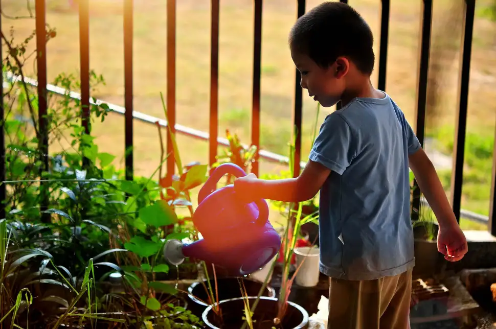 Der Garten im Sommer - Was gilt es zu beachten? Foto: Pixabay.com