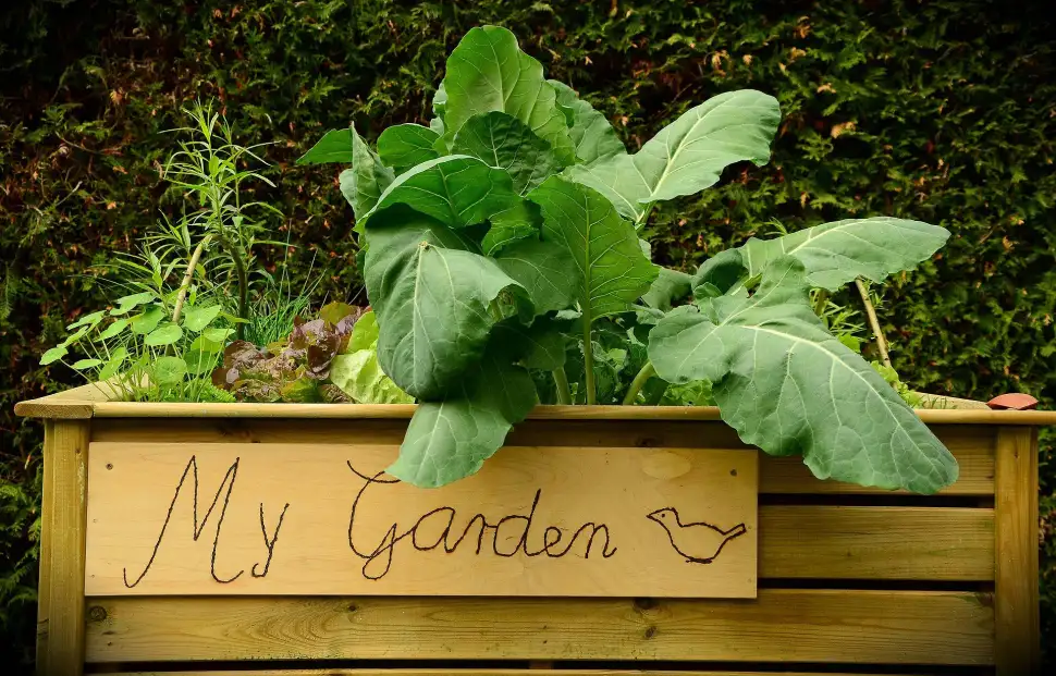 Ein Hochbeet im Garten – Vorteile und Bauanleitung. Foto: Pixabay.com