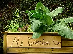 Ein Hochbeet im Garten – Vorteile und Bauanleitung