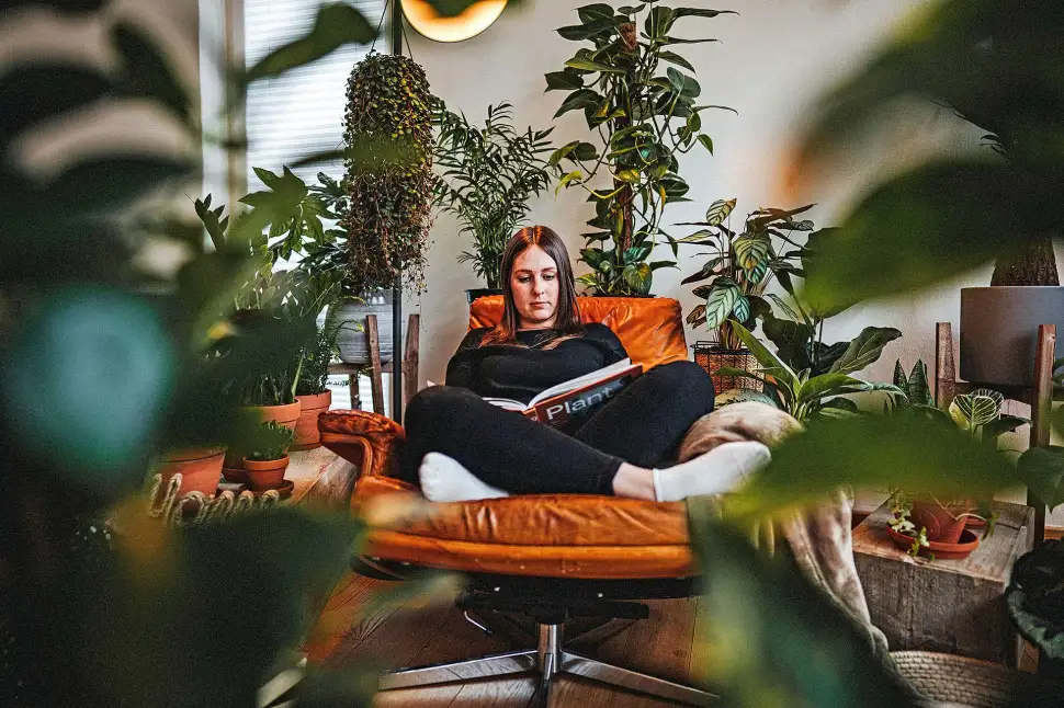 Dschungel-Feeling im Zuhause: Mit den richtigen Tipps lässt sich auf unkomplizierte Weise für üppiges Grün sorgen. Foto: DJD / Floragard