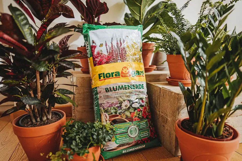 Spezielle Pflanzenerden enthalten bereits alle Nährstoffe für die ersten Monate des neuen Wachstums. Foto: DJD / Floragard