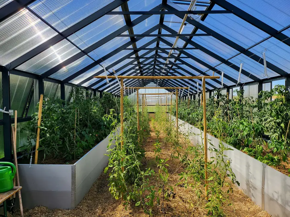 Gewächshäuser bieten verschiedensten Pflanzen ganzjährig ein ideales Wohlfühlklima. Individuelle Ausstattungselemente wie Bodenbeete oder praktische Hochbeete, Lüftung/Heizung, Verglasung oder Farbe können frei gewählt werden. Foto: epr / Princess Gewächshäuser