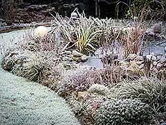 Den Gartenteich winterfest machen