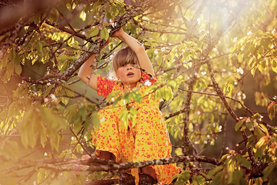 So wird der Garten zum kleinen Paradies für Kinder. Foto: pexels.com / Bund deutscher Baumschulen (BdB) e.V. / akz-o