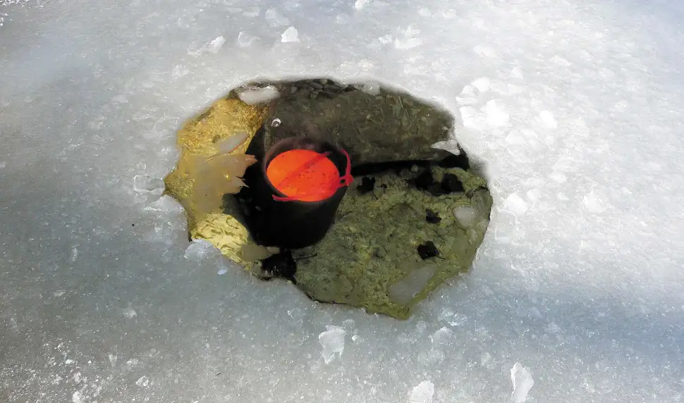 An der tiefsten Stelle des Teichs platziert, kann das Gerät seine Wirkung optimal entfalten. (Foto: epr/Söchting Biotechnik)
