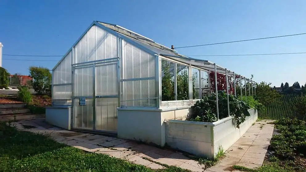Hochbeet-Gewächshäuser bieten die Möglichkeit eines hochgezogenen Fundaments mit Hochbeeten entlang der beiden Seitenwände. Je nach Bedarf und Größe können mittig zusätzlich bodengleiche Beete platziert werden, auch Sonderbauten sind möglich. (Foto: HLC/Princess Gewächshäuser)