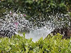 Produkte für die Gartenbewässerung - Tipps und Tricks