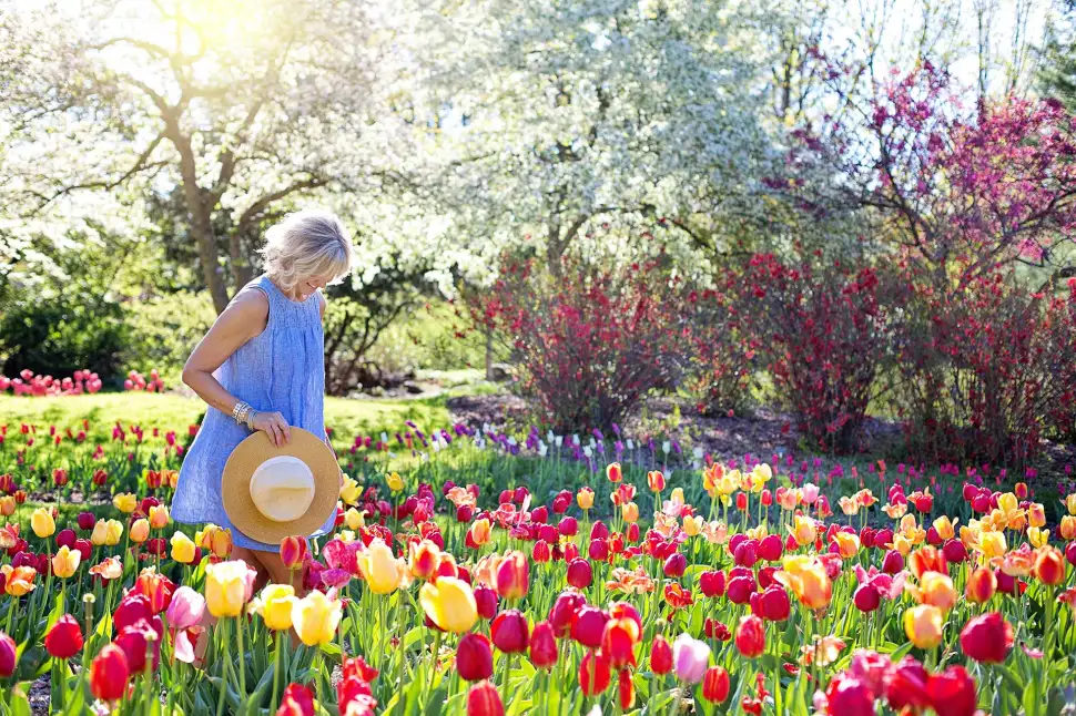 Garten-Trends 2025: Nachhaltigkeit, Technologie & Komfort im Freien. Foto: Jill Wellington / Pexels.com