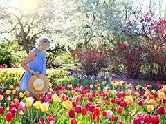 Garten-Trends 2025: Nachhaltigkeit, Technologie & Komfort im Freien